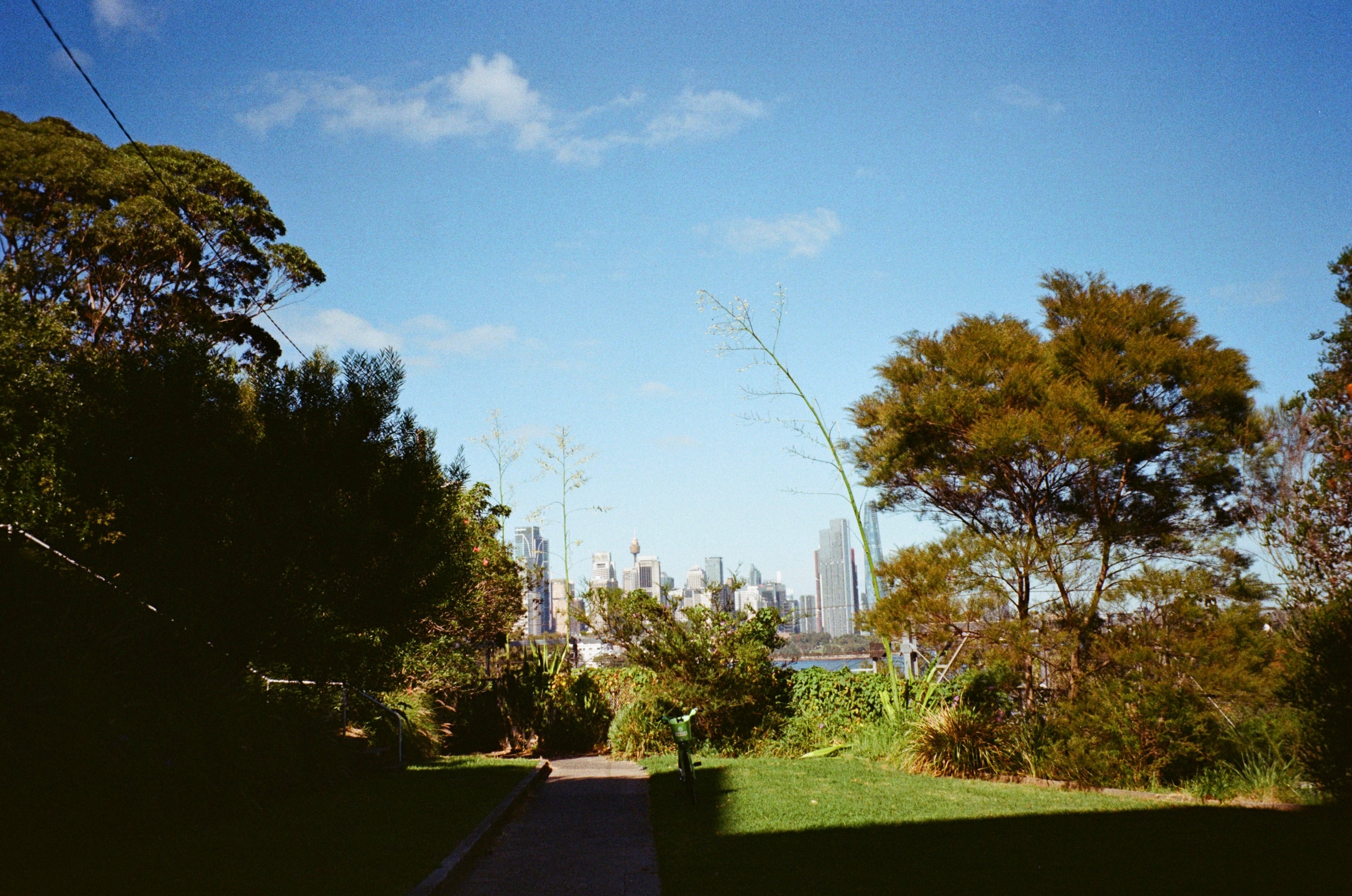 Fuji DL-1000 Zoom film camera