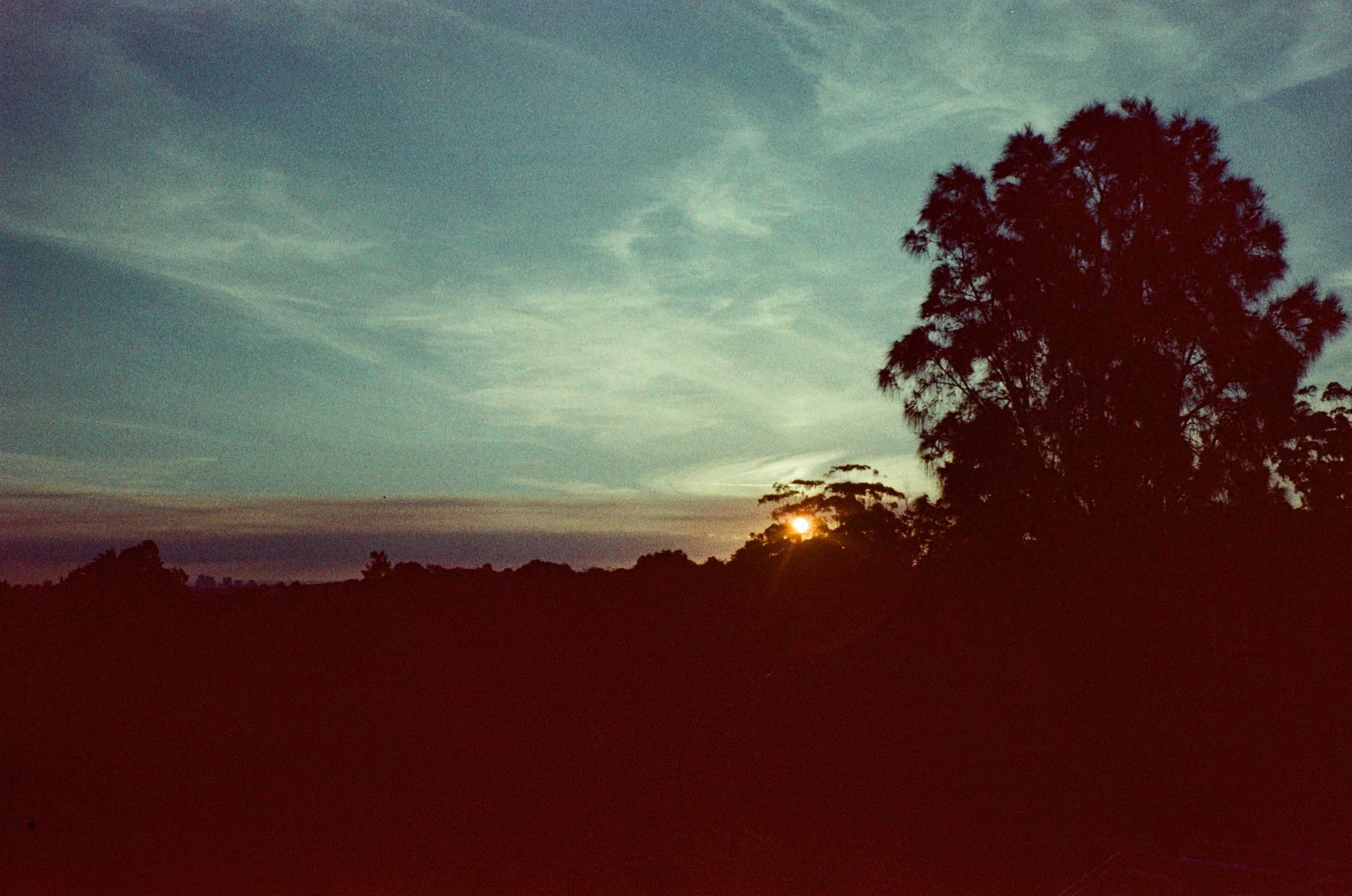 Olympus Superzoom 105 film camera