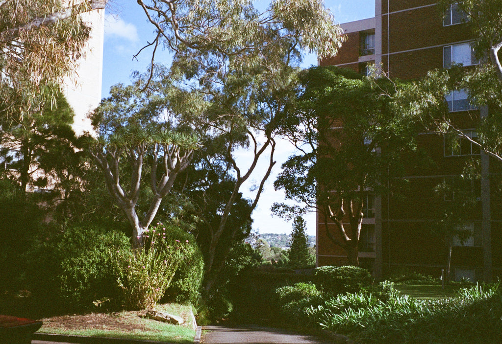 Pentax Espio 738S film camera