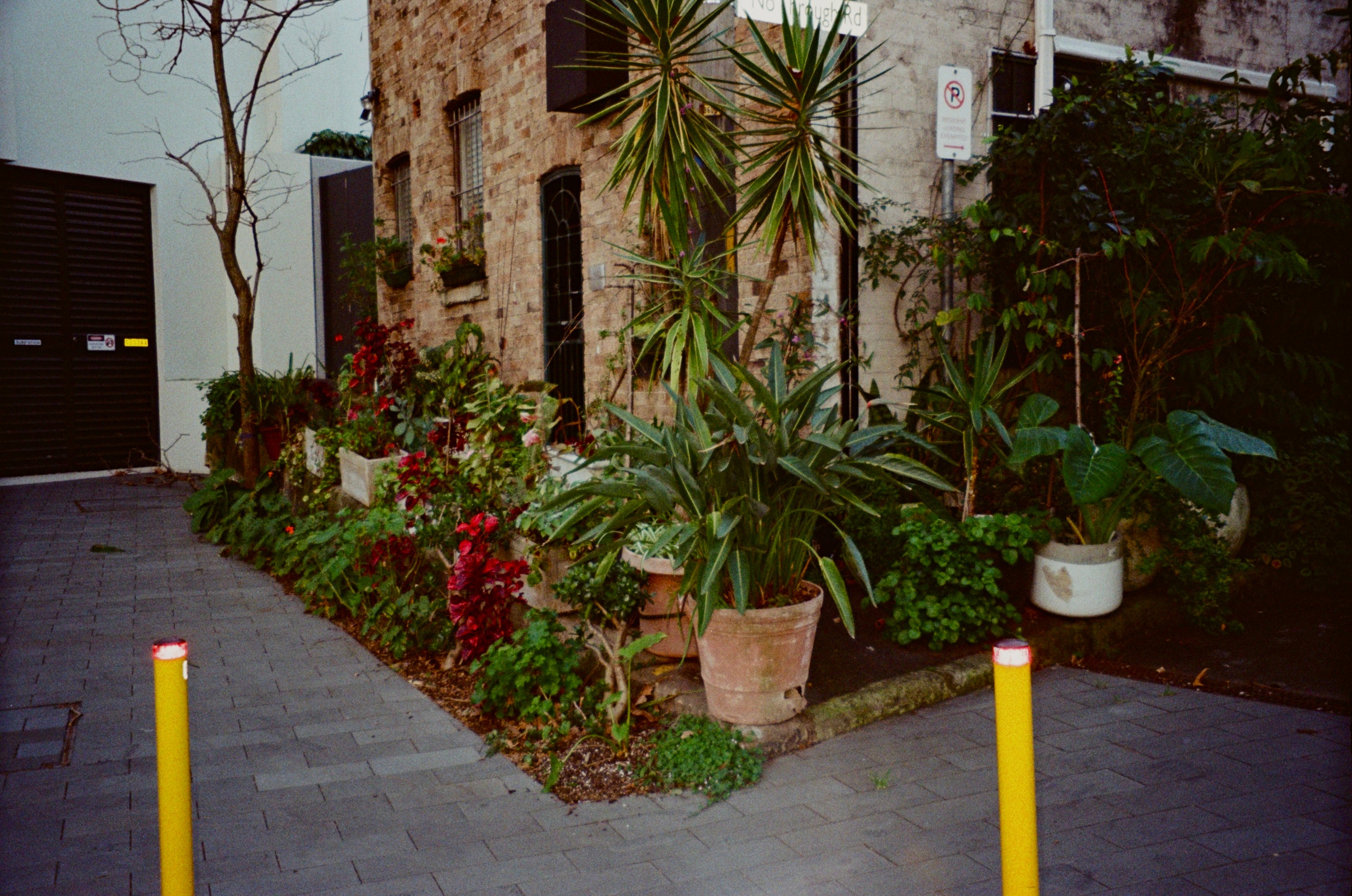 Olympus Infinity 80 film camera