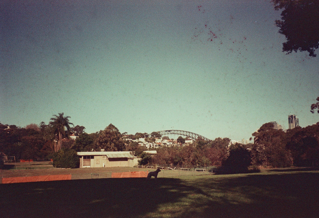 Nikon TW Zoom 105 film camera