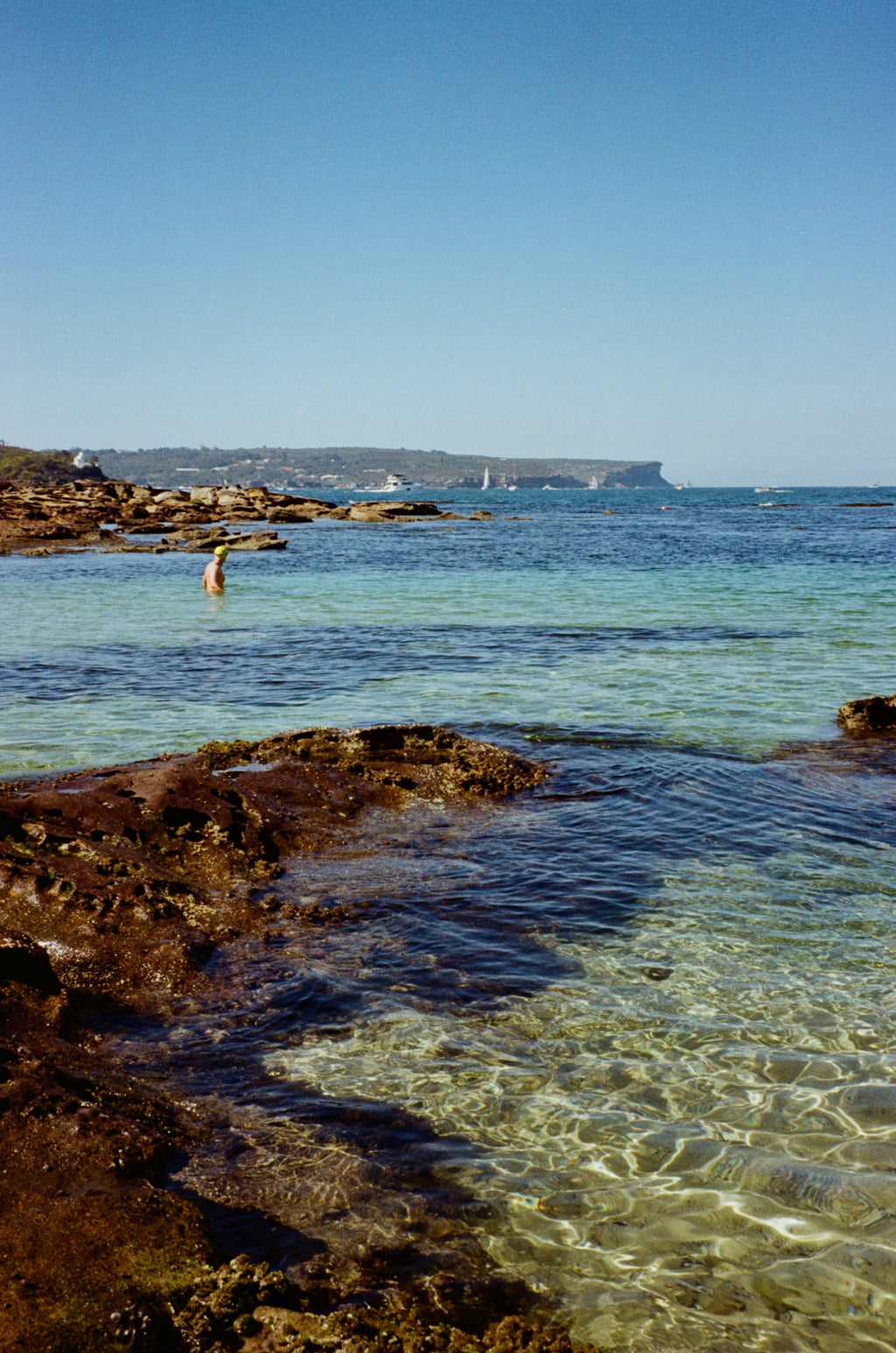 Minolta Freedom zoom 65 film camera