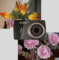 Kodak EasyShare M531 digital camera