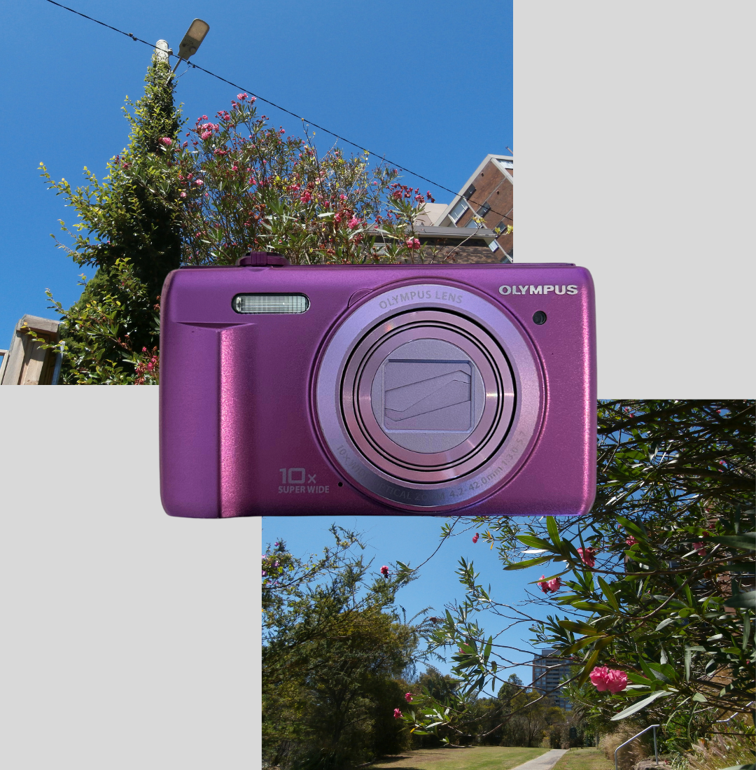 Purple Olympus VR-350 digital camera