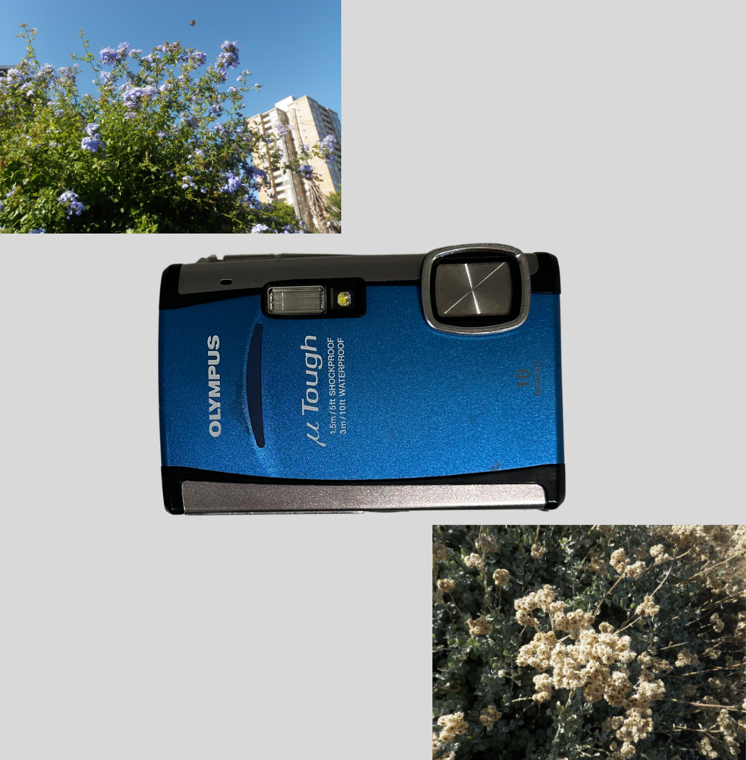 Olympus mju Tough-6000 digital camera