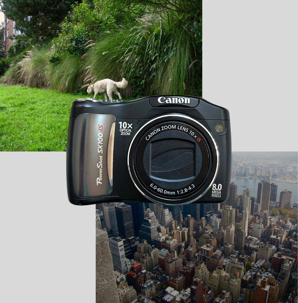 Canon PowerShot SX100 IS digital camera