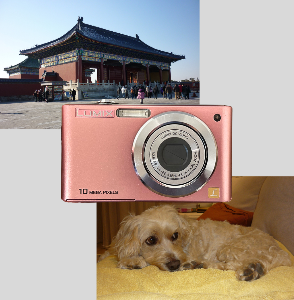 Pink Lumix DMC-FS42 digital camera
