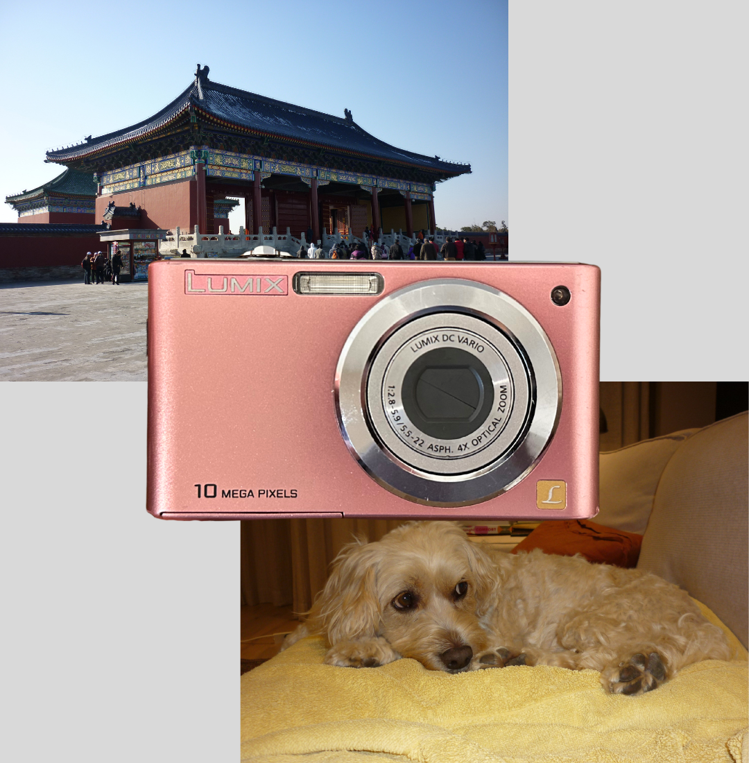 Pink Lumix DMC-FS42 digital camera – Zoz Cameras