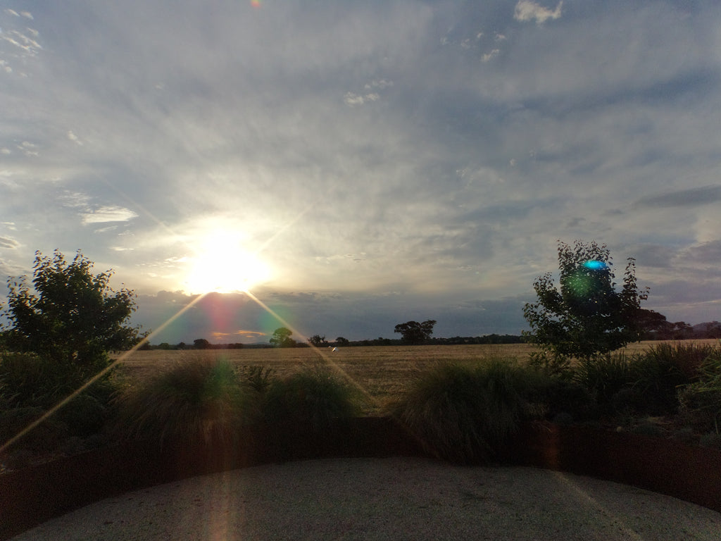 Sony Cyber-shot DSC-TF1 digital camera