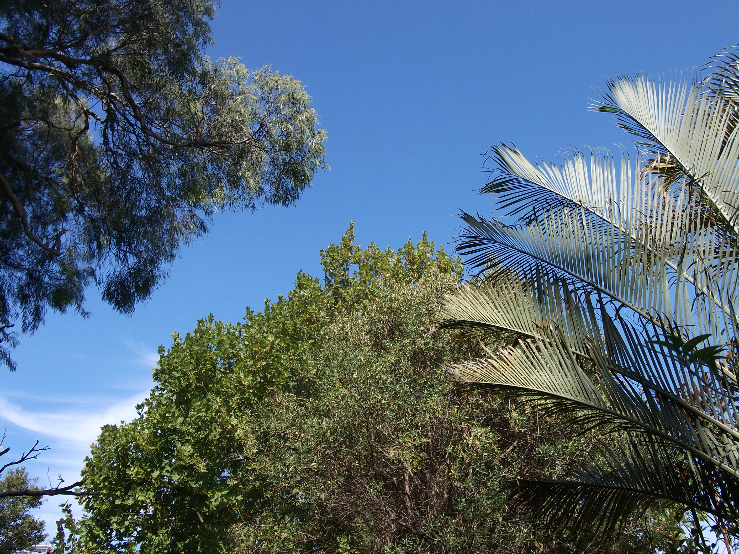 Baby pink Fujifilm JV100 digital camera