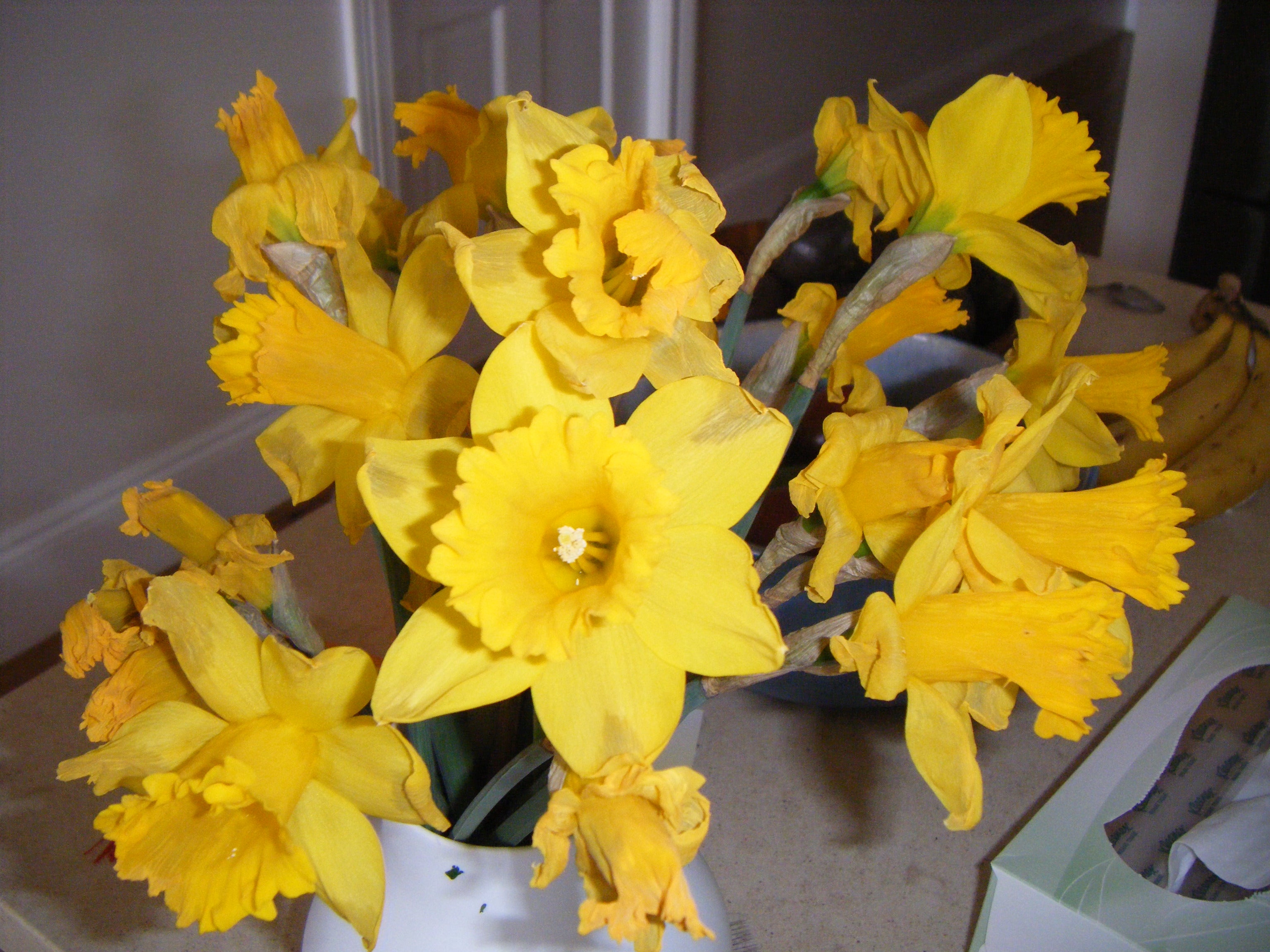 Red Fujifilm FinePix Z10fd