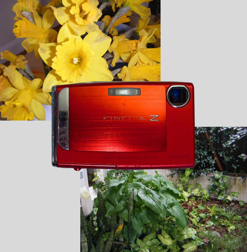 Red Fujifilm FinePix Z10fd digital camera