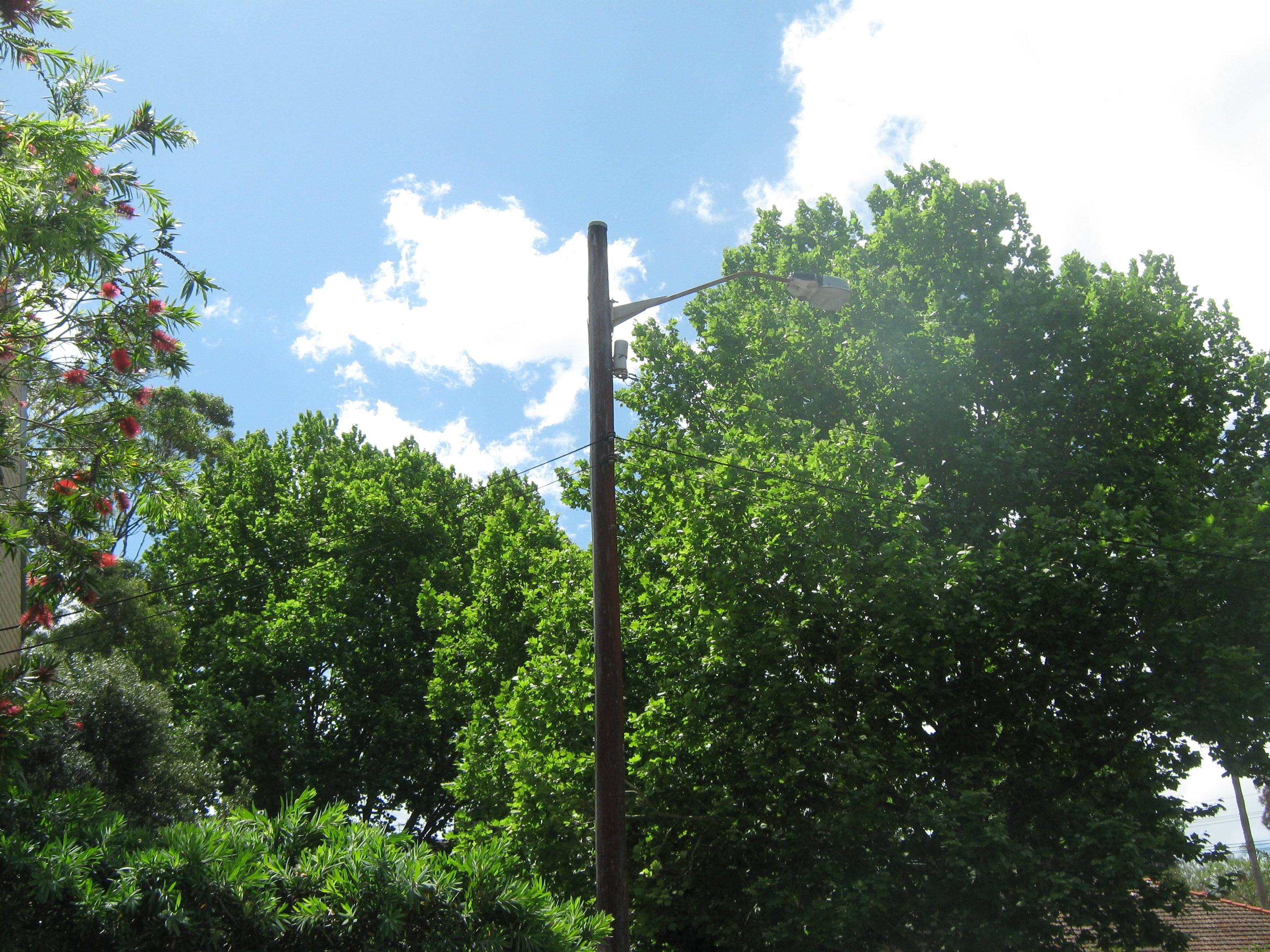 Canon Powershot A470 Digital camera