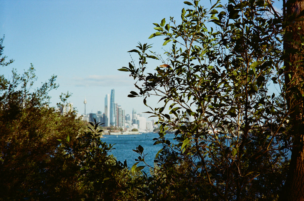 Canon Prima twin date film camera