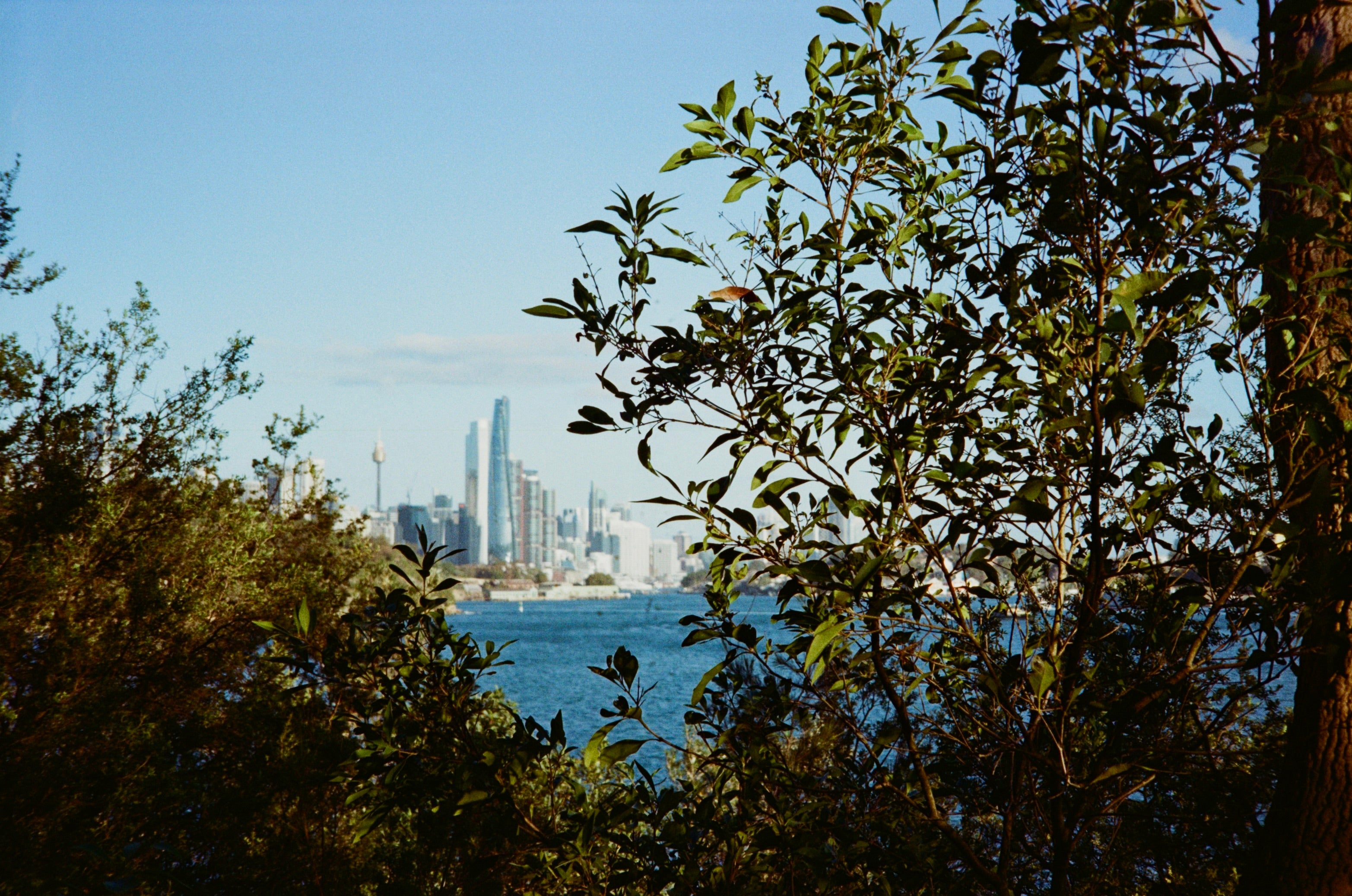 Canon Prima twin date film camera