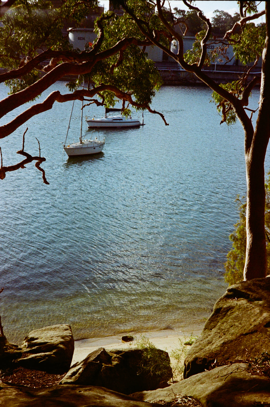 Canon Prima twin date film camera
