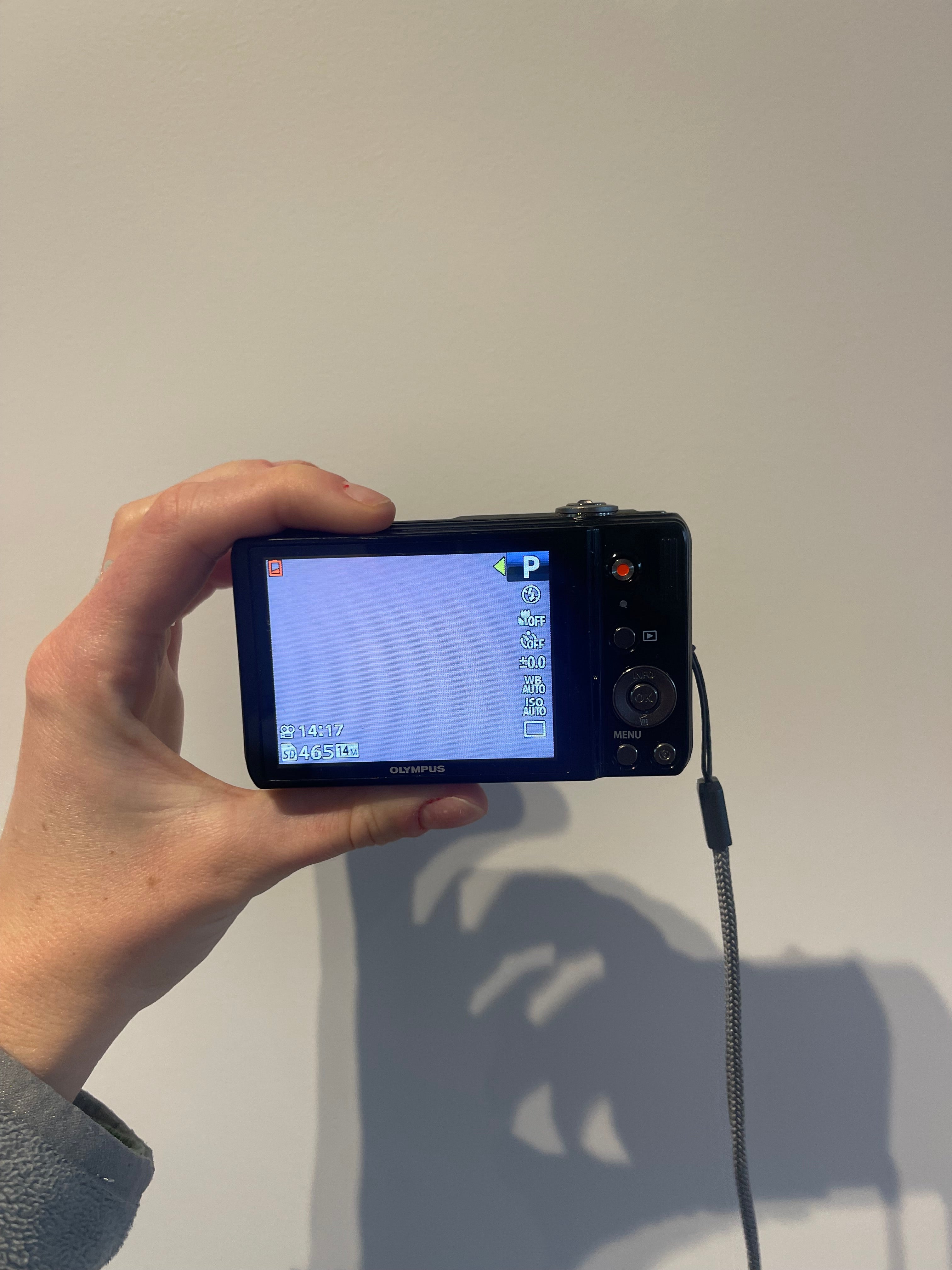 Olympus VR-310 digital camera