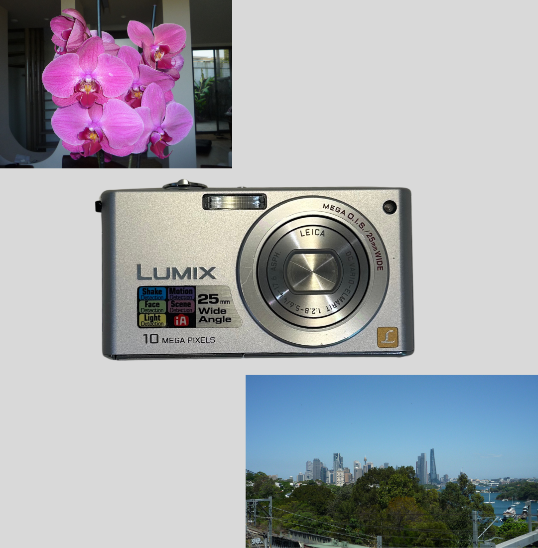 Panasonic Lumix DMC-FX36 digital camera