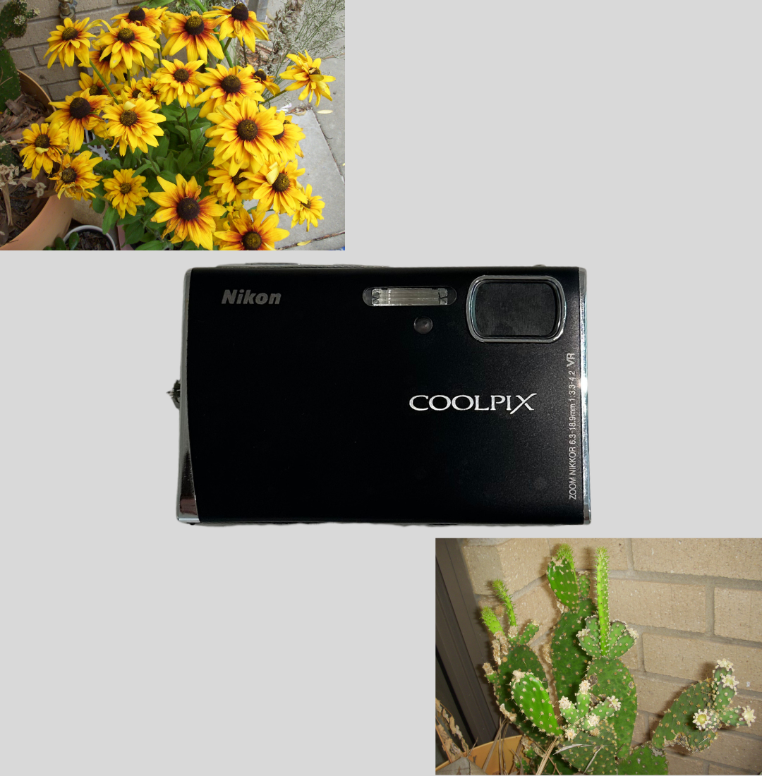 Nikon Coolpix S50 digital camera