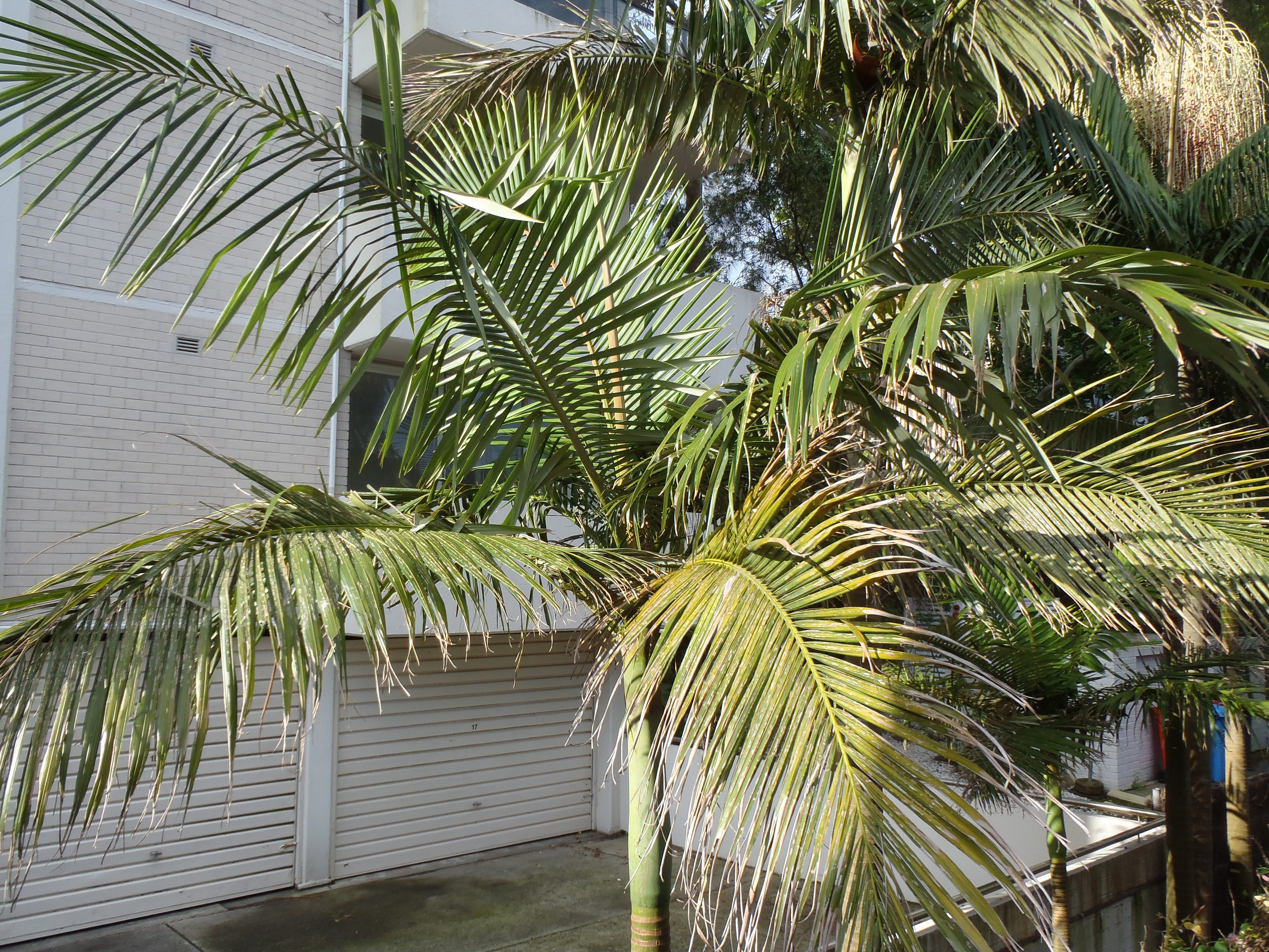 Olympus tough TG-810 digital camera