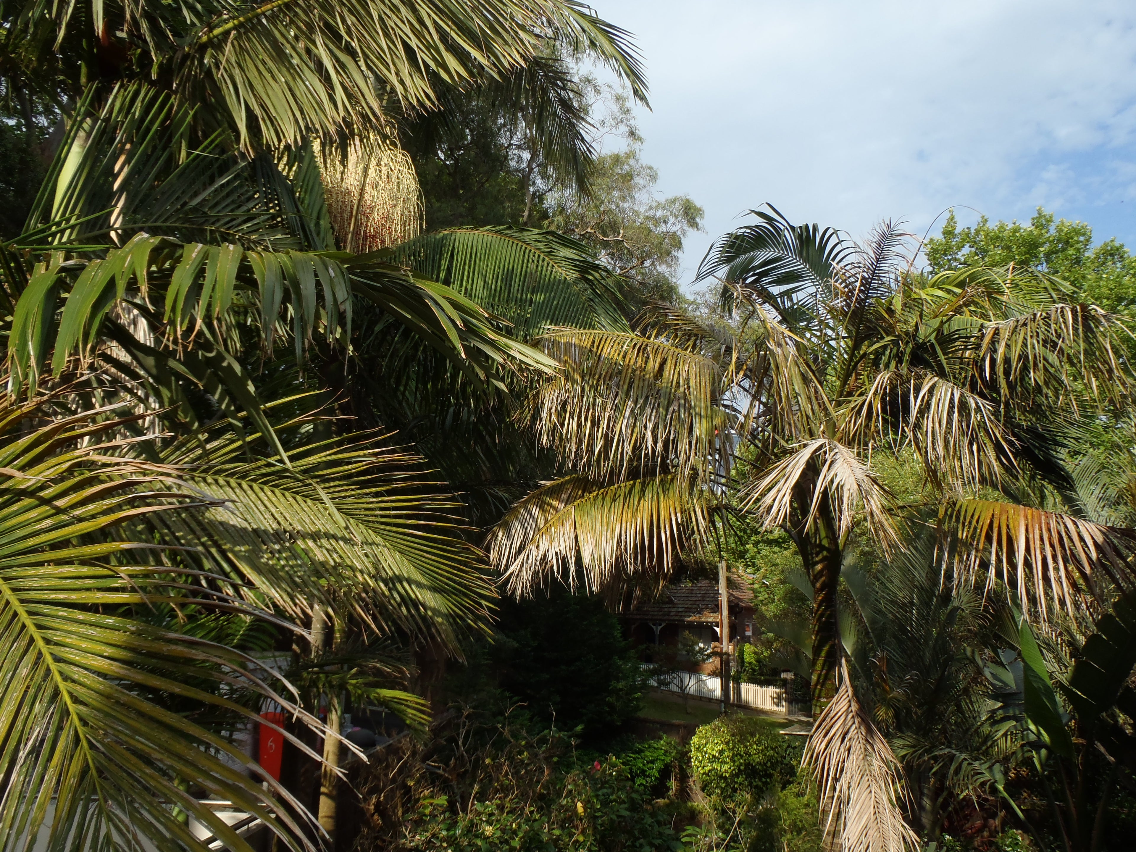 Olympus tough TG-810 digital camera