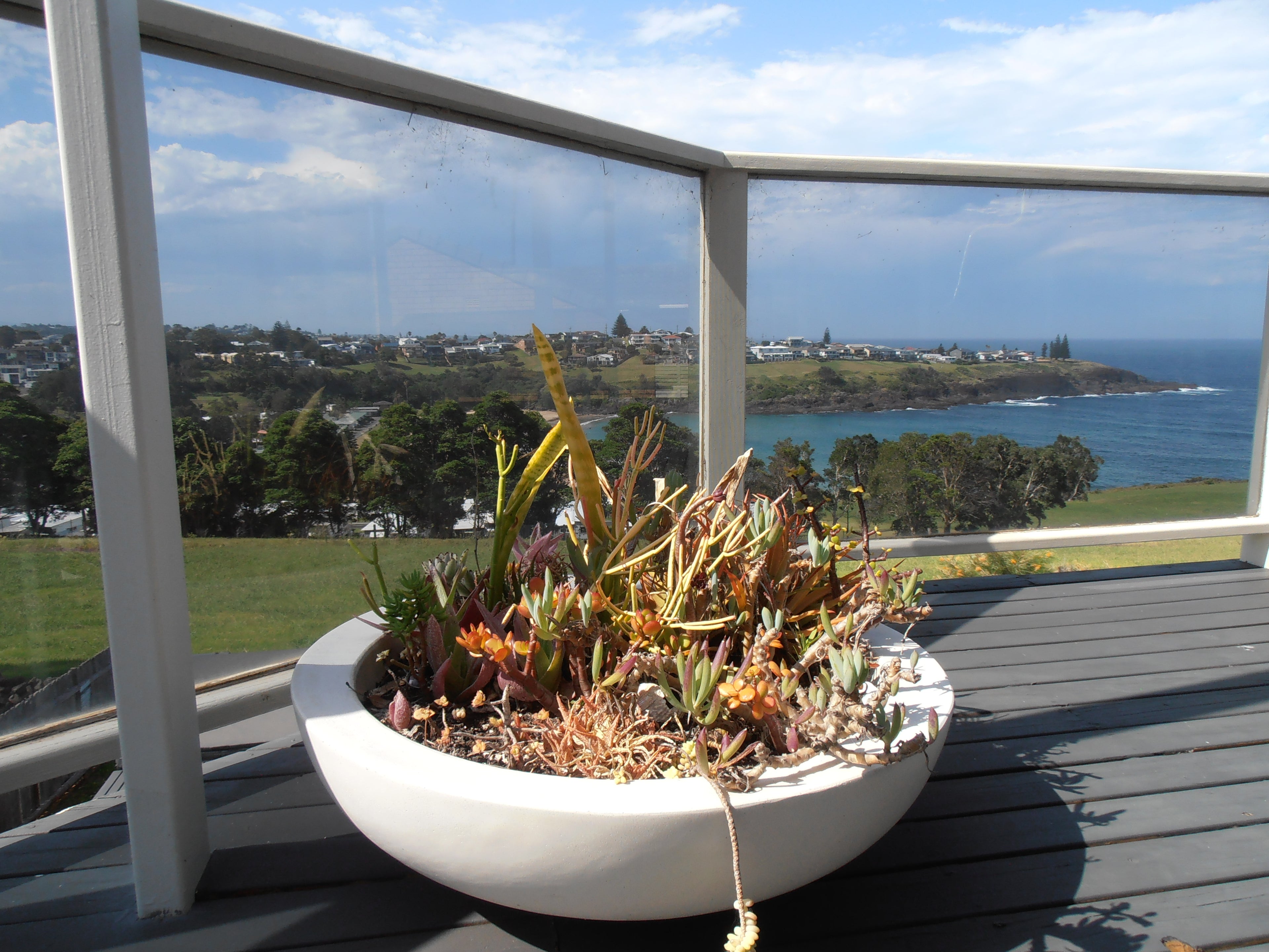 Olympus VR-310 digital camera