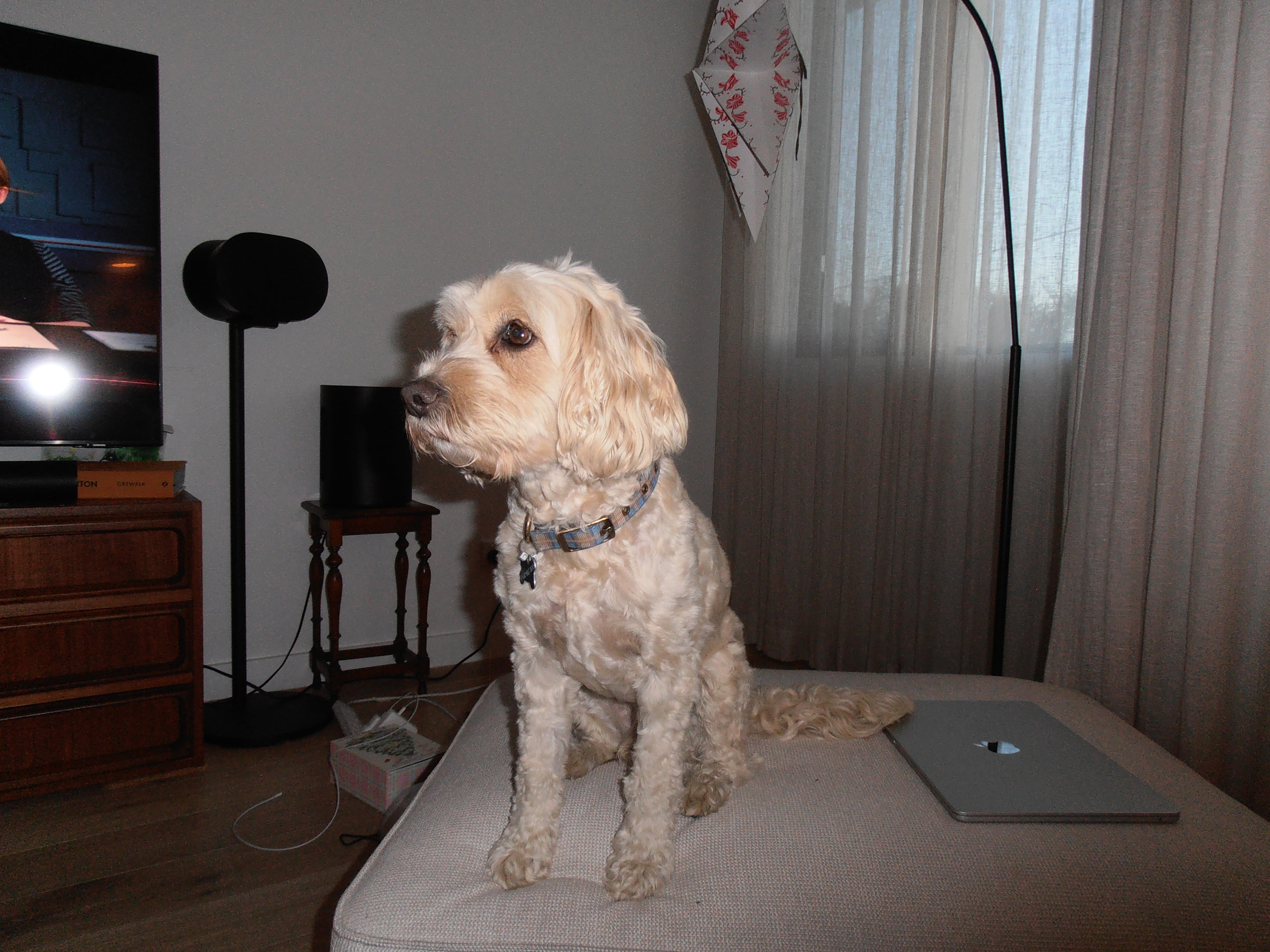 Olympus VR-310 digital camera