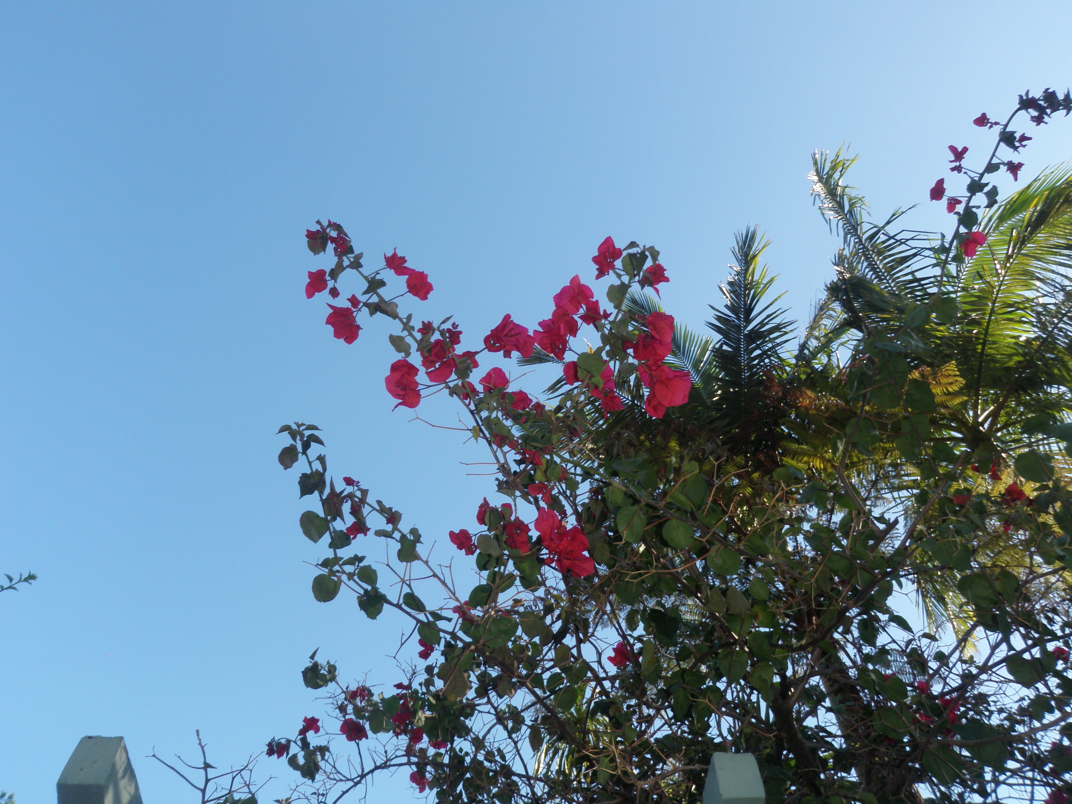 Olympus mju Tough-6000 digital camera