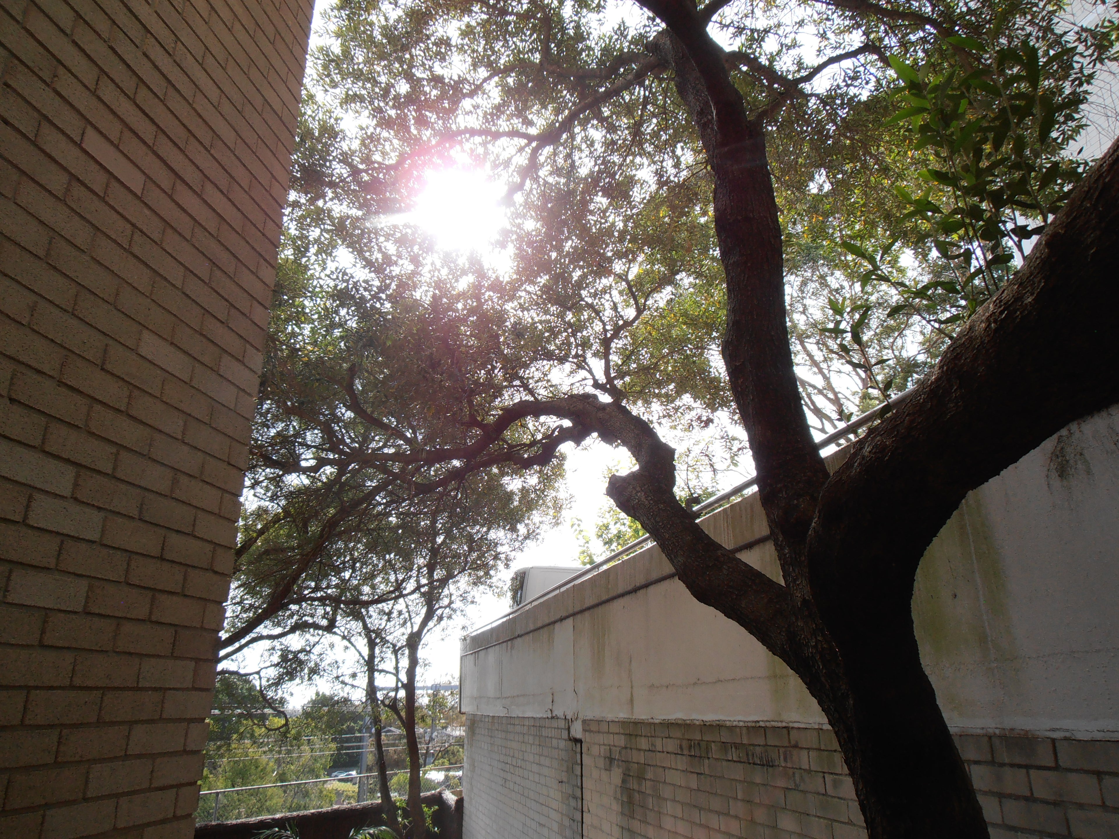 Olympus VR-310 digital camera