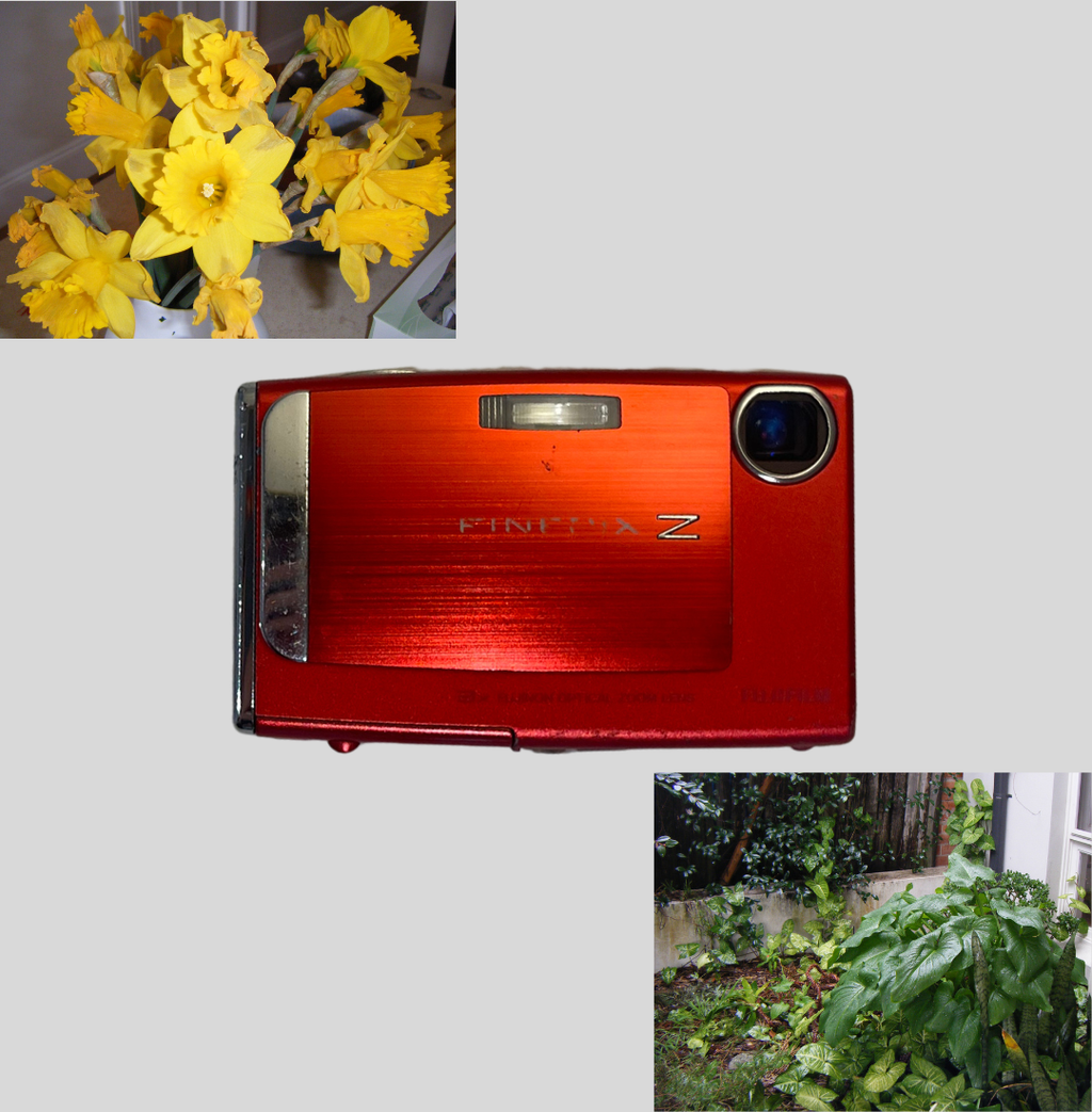 Red Fujifilm FinePix Z10fd