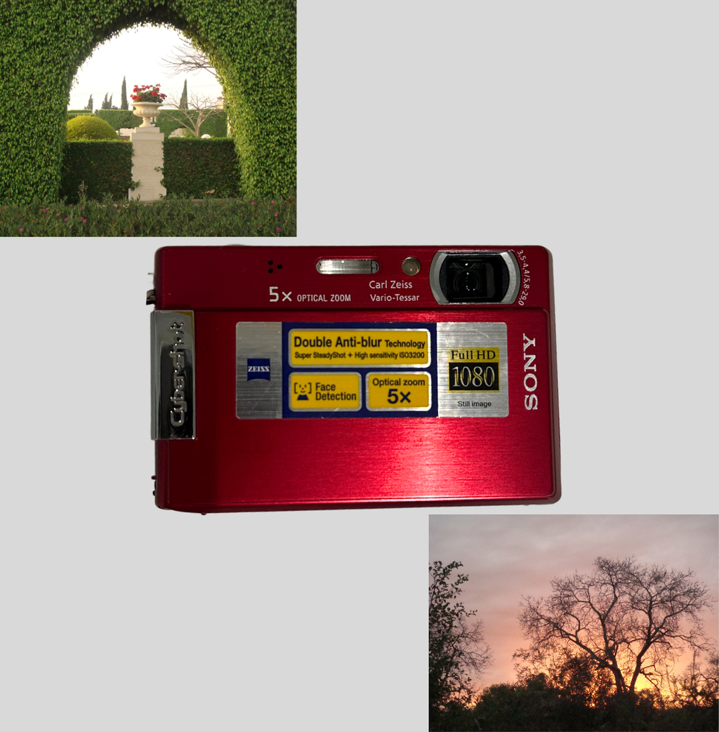 Red Sony Cyber-shot DSC-T100