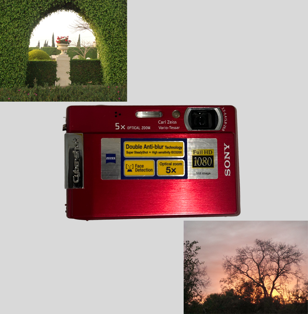 Red Sony Cyber-shot DSC-T100