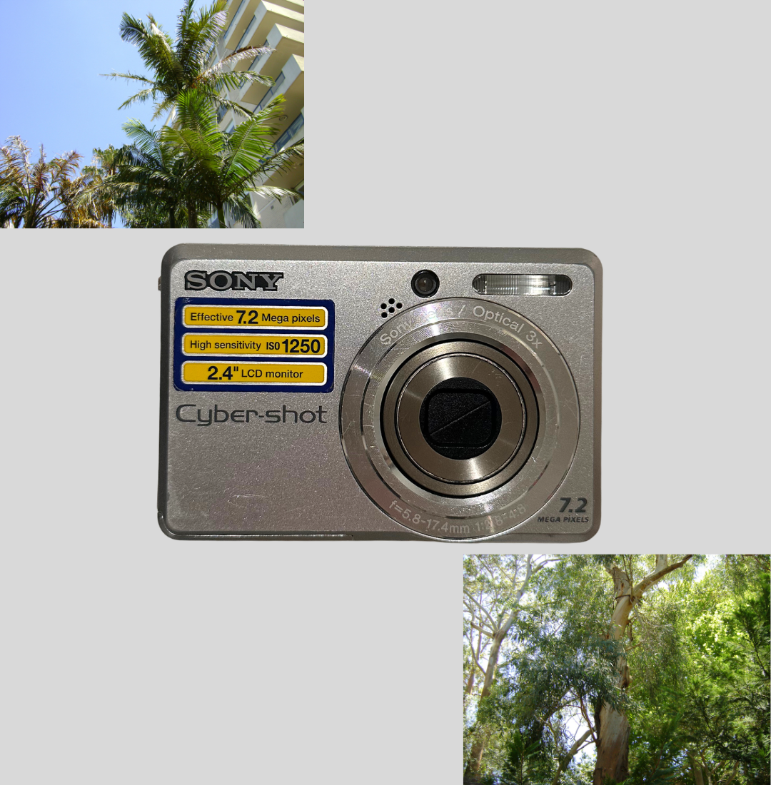 Sony Cyber-shot DSC-S730