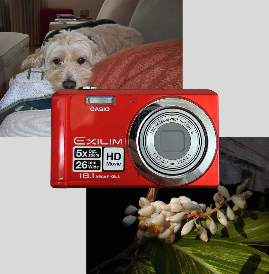 Red Casio Exilim EX-ZS6 digital camera