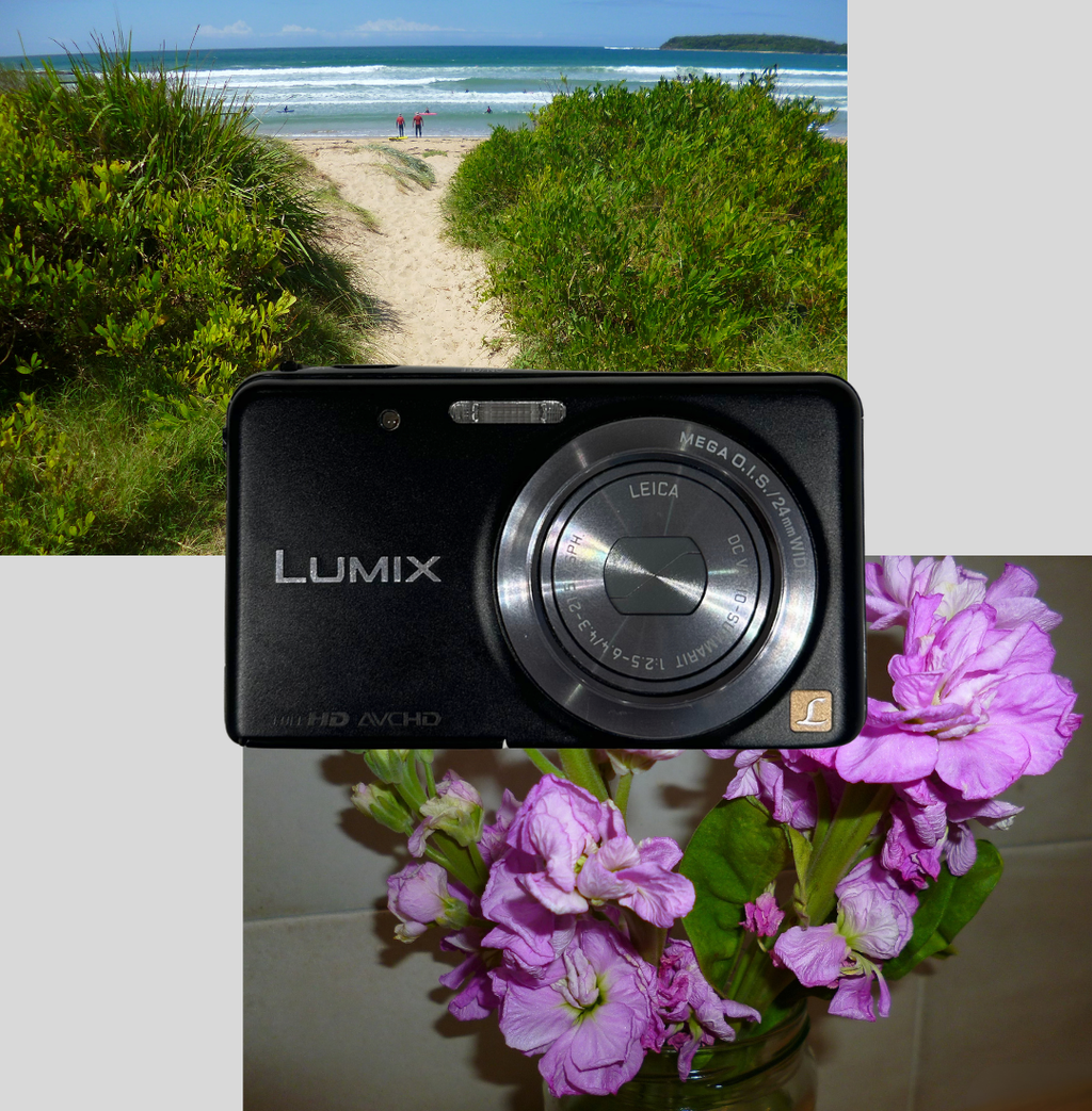 Lumix DMC-FX80 digital camera