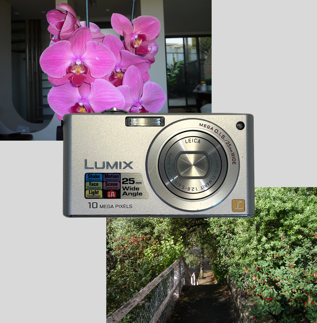 Lumix DMC-FX36 digital camera