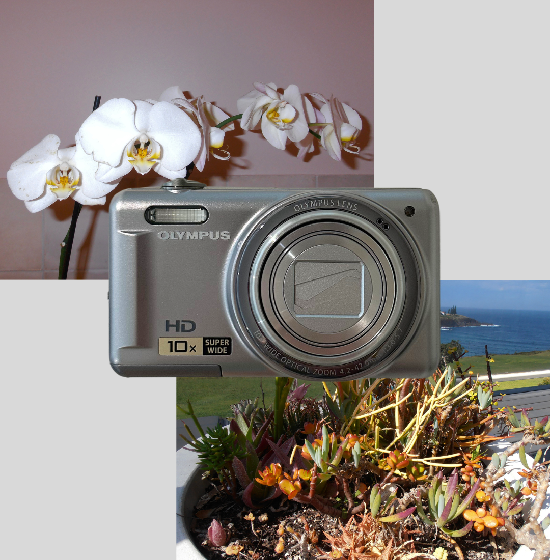 Olympus VR-310 digital camera