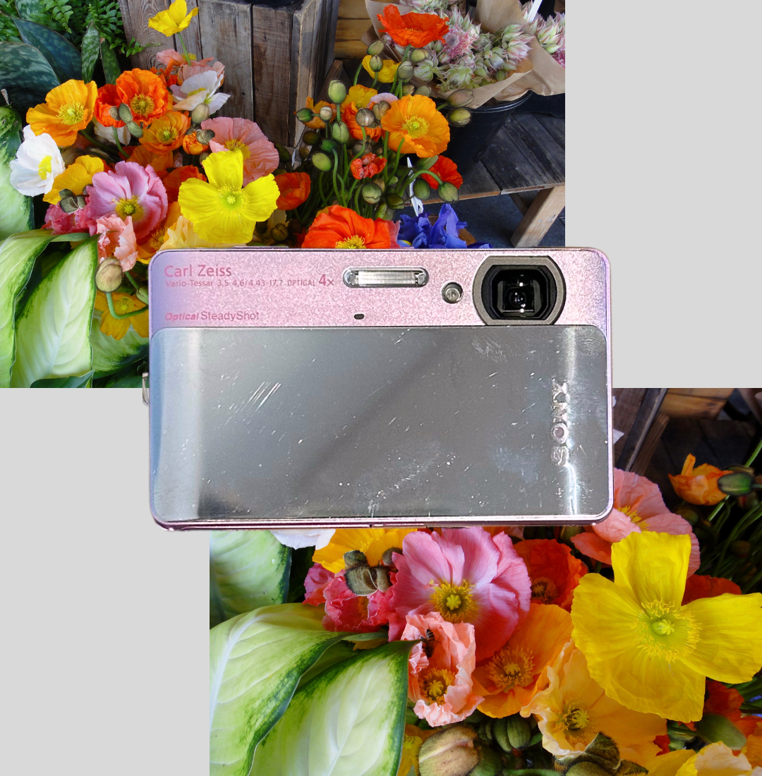 Sony Cyber-shot DSC-TX5 digital camera