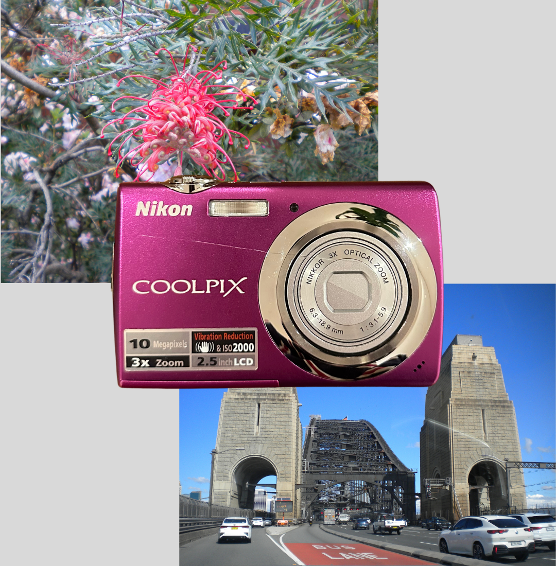 Purple Nikon Coolpix S220 digital camera