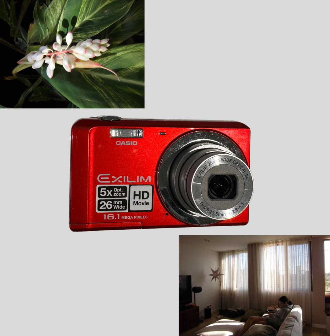 Red Casio Exilim EX-ZS6 digital camera
