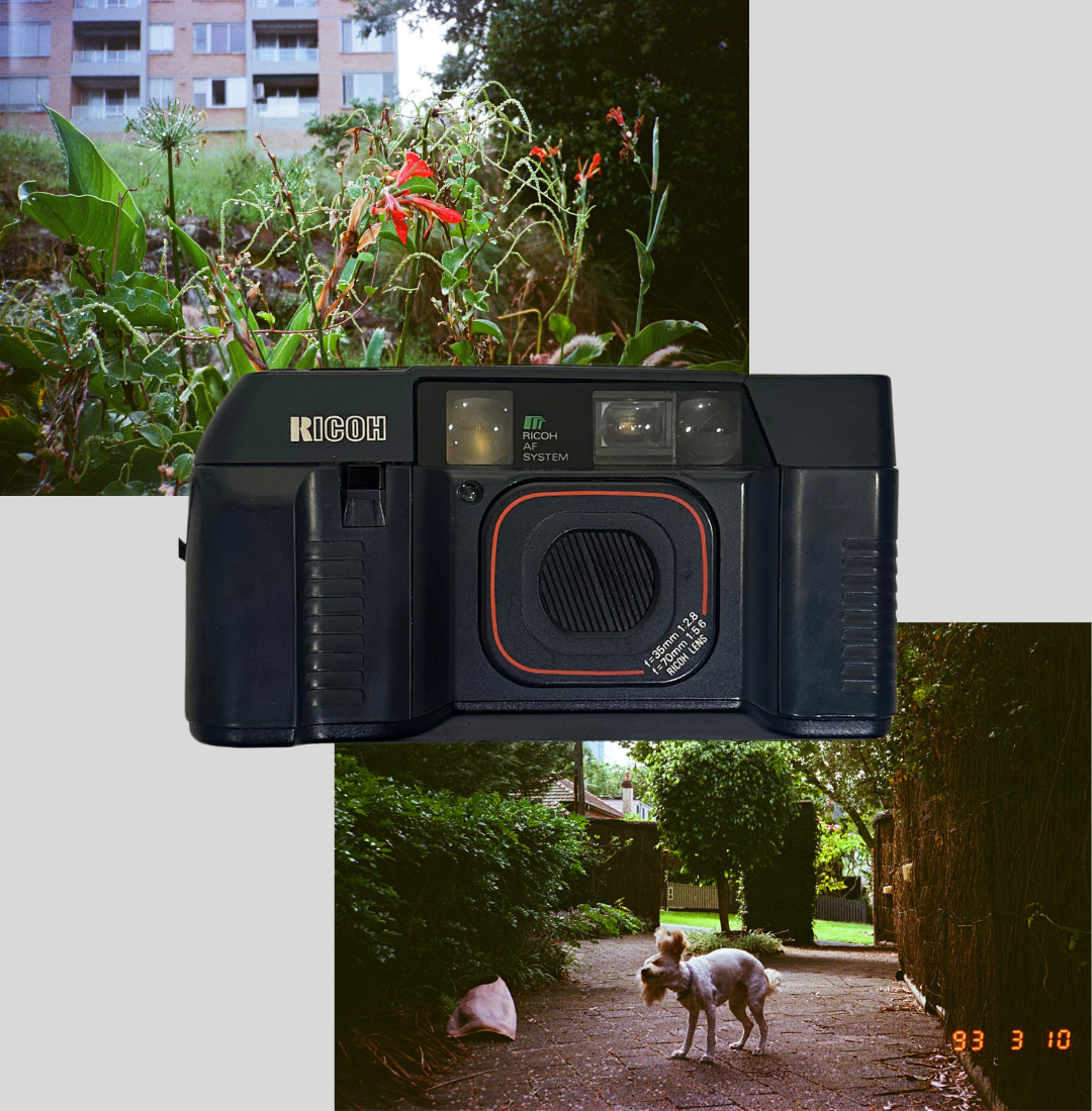 Ricoh TF-900d film camera